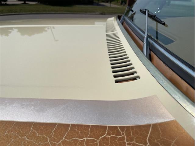 1979 Chevrolet Silverado (CC-1742658) for sale in Ramsey, Minnesota