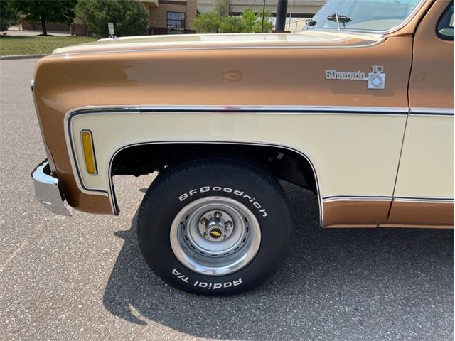 1979 Chevrolet Silverado (CC-1742658) for sale in Ramsey, Minnesota