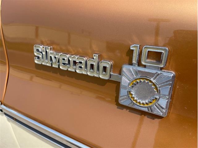 1979 Chevrolet Silverado (CC-1742658) for sale in Ramsey, Minnesota