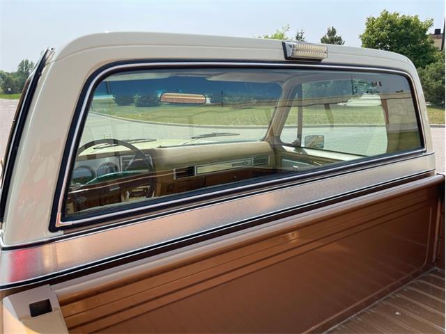 1979 Chevrolet Silverado (CC-1742658) for sale in Ramsey, Minnesota
