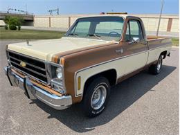 1979 Chevrolet Silverado (CC-1742658) for sale in Ramsey, Minnesota