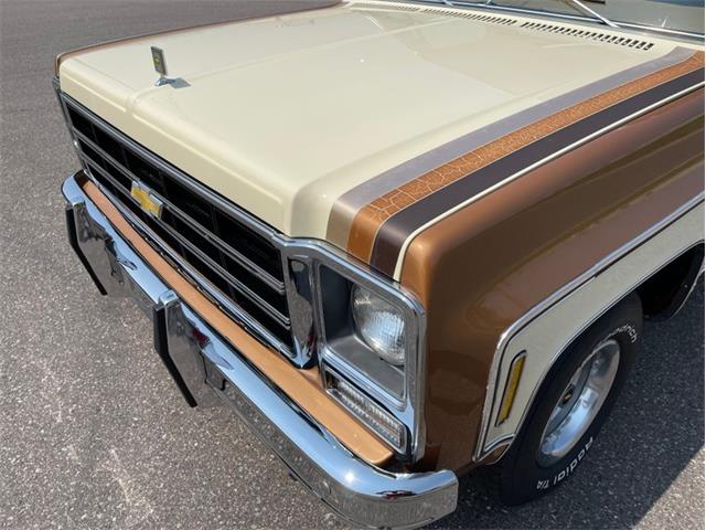 1979 Chevrolet Silverado (CC-1742658) for sale in Ramsey, Minnesota