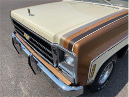 1979 Chevrolet Silverado (CC-1742658) for sale in Ramsey, Minnesota