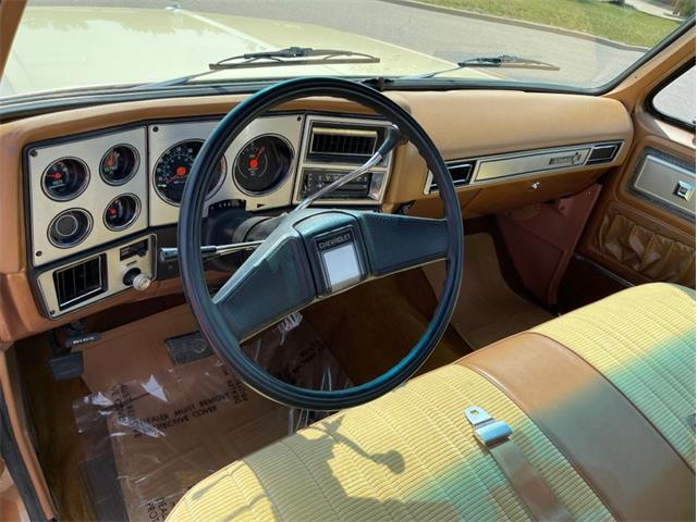 1979 Chevrolet Silverado (CC-1742658) for sale in Ramsey, Minnesota