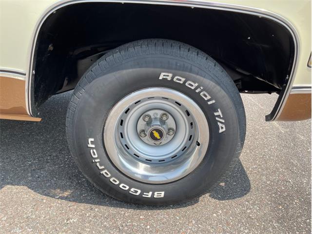 1979 Chevrolet Silverado (CC-1742658) for sale in Ramsey, Minnesota
