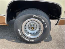 1979 Chevrolet Silverado (CC-1742658) for sale in Ramsey, Minnesota