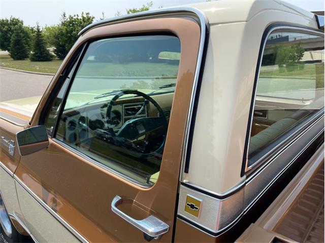 1979 Chevrolet Silverado (CC-1742658) for sale in Ramsey, Minnesota