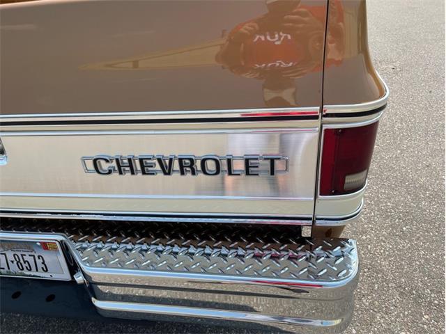 1979 Chevrolet Silverado (CC-1742658) for sale in Ramsey, Minnesota