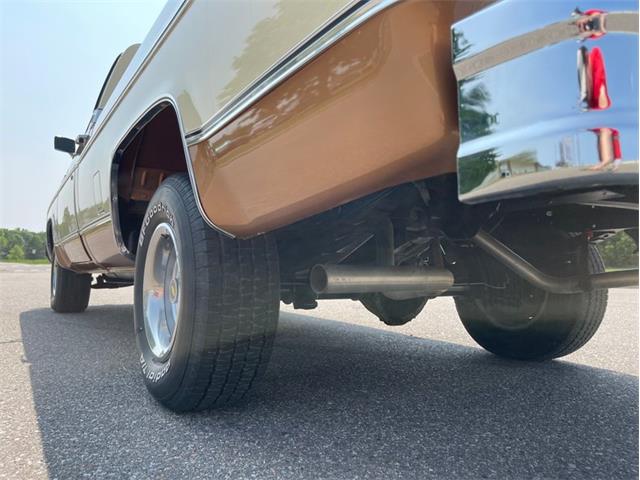 1979 Chevrolet Silverado (CC-1742658) for sale in Ramsey, Minnesota