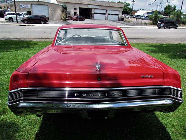 1965 Pontiac GTO (CC-1742686) for sale in Denver, Colorado