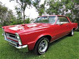 1965 Pontiac GTO (CC-1742686) for sale in Denver, Colorado