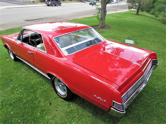 1965 Pontiac GTO (CC-1742686) for sale in Denver, Colorado