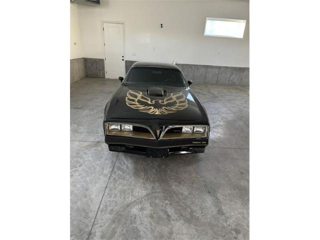 1978 Pontiac Firebird (CC-1743524) for sale in Cadillac, Michigan