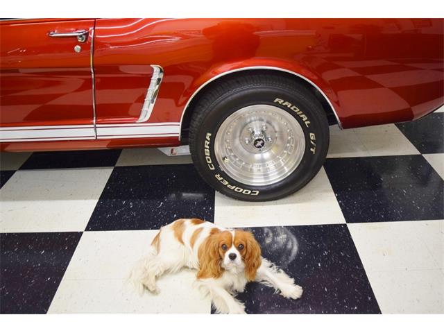 1965 Ford Mustang (CC-1744059) for sale in Fredericksburg, Virginia