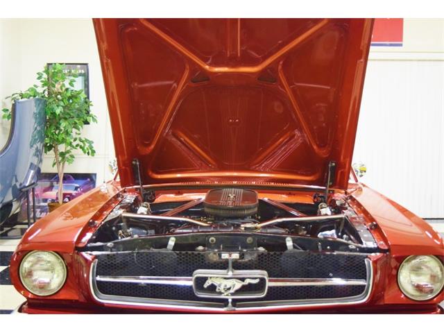 1965 Ford Mustang (CC-1744059) for sale in Fredericksburg, Virginia