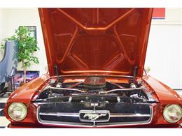 1965 Ford Mustang (CC-1744059) for sale in Fredericksburg, Virginia