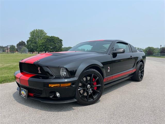 2009 Shelby GT500 (CC-1744116) for sale in Hilton, New York