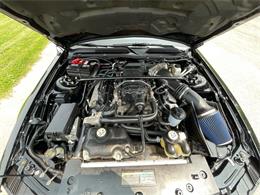 2009 Shelby GT500 (CC-1744116) for sale in Hilton, New York