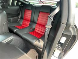 2009 Shelby GT500 (CC-1744116) for sale in Hilton, New York