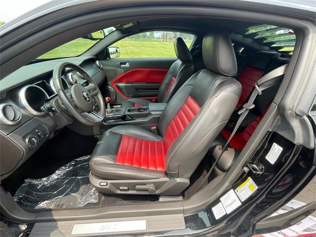 2009 Shelby GT500 (CC-1744116) for sale in Hilton, New York