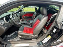 2009 Shelby GT500 (CC-1744116) for sale in Hilton, New York