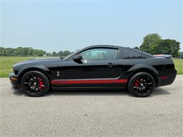2009 Shelby GT500 (CC-1744116) for sale in Hilton, New York