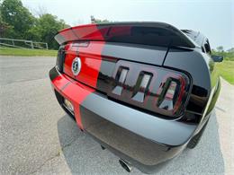 2009 Shelby GT500 (CC-1744116) for sale in Hilton, New York