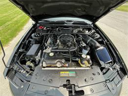 2009 Shelby GT500 (CC-1744116) for sale in Hilton, New York