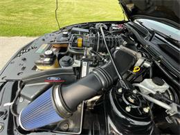2009 Shelby GT500 (CC-1744116) for sale in Hilton, New York