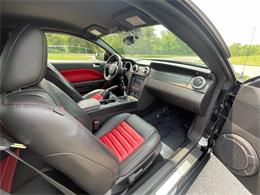 2009 Shelby GT500 (CC-1744116) for sale in Hilton, New York