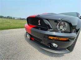 2009 Shelby GT500 (CC-1744116) for sale in Hilton, New York