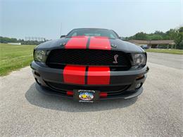 2009 Shelby GT500 (CC-1744116) for sale in Hilton, New York