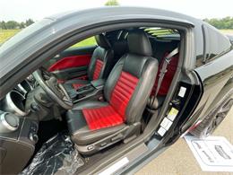 2009 Shelby GT500 (CC-1744116) for sale in Hilton, New York