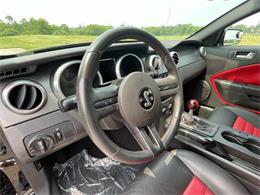 2009 Shelby GT500 (CC-1744116) for sale in Hilton, New York