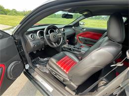 2009 Shelby GT500 (CC-1744116) for sale in Hilton, New York