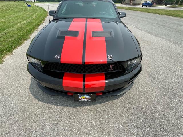 2009 Shelby GT500 (CC-1744116) for sale in Hilton, New York