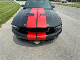 2009 Shelby GT500 (CC-1744116) for sale in Hilton, New York