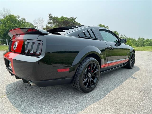 2009 Shelby GT500 (CC-1744116) for sale in Hilton, New York