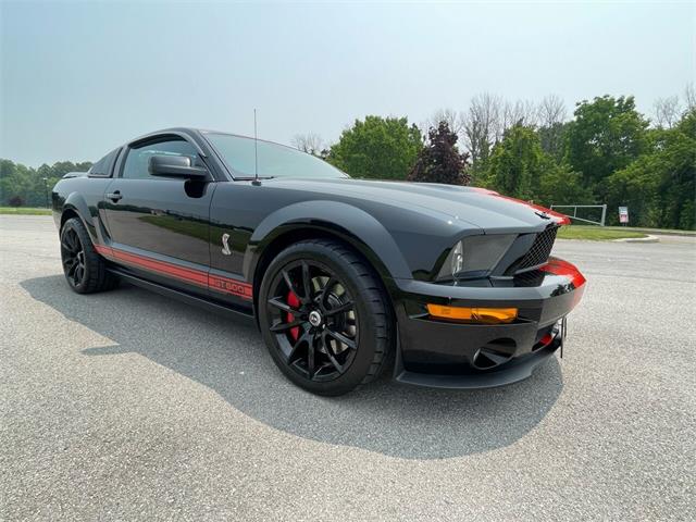 2009 Shelby GT500 (CC-1744116) for sale in Hilton, New York