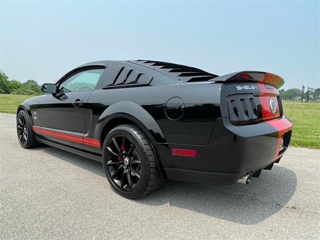 2009 Shelby GT500 (CC-1744116) for sale in Hilton, New York
