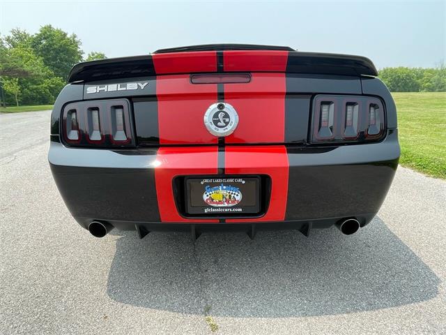 2009 Shelby GT500 (CC-1744116) for sale in Hilton, New York