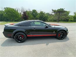2009 Shelby GT500 (CC-1744116) for sale in Hilton, New York