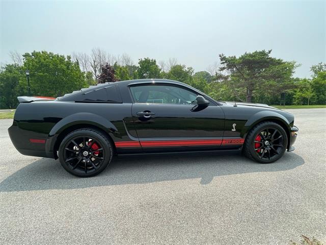 2009 Shelby GT500 (CC-1744116) for sale in Hilton, New York