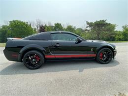2009 Shelby GT500 (CC-1744116) for sale in Hilton, New York