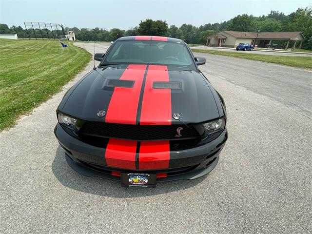 2009 Shelby GT500 (CC-1744116) for sale in Hilton, New York