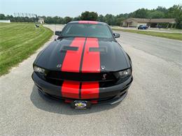 2009 Shelby GT500 (CC-1744116) for sale in Hilton, New York