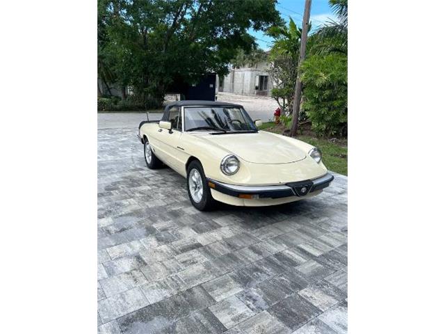 1984 Alfa Romeo Spider (CC-1744210) for sale in Cadillac, Michigan