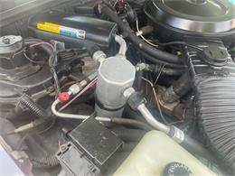 1986 Chevrolet Monte Carlo SS (CC-1744537) for sale in Stratford, New Jersey