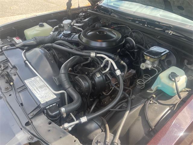 1986 Chevrolet Monte Carlo SS (CC-1744537) for sale in Stratford, New Jersey