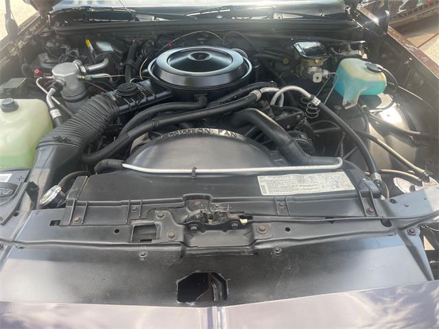 1986 Chevrolet Monte Carlo SS (CC-1744537) for sale in Stratford, New Jersey